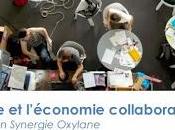 OuiShare l'Economie Collaborative Oxylane