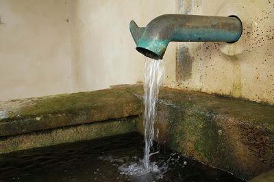 Dans le lavoir d'Amance