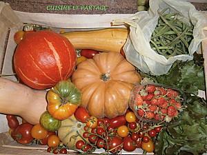 tarte au potiron (pumpkin-pie) MARAICHER-SEMAINE-DU-22-SEPTEMBRE.jpg