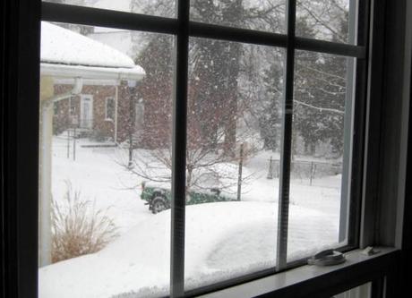 neige_hiver_photo_jmanecke