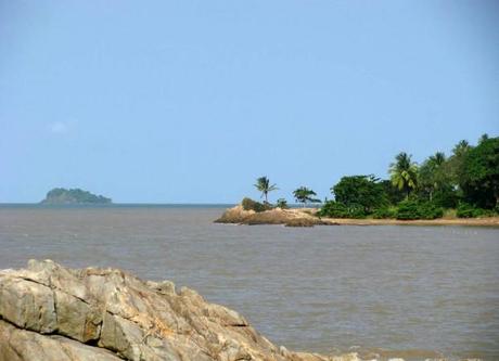 guyane_photo_David Darricau
