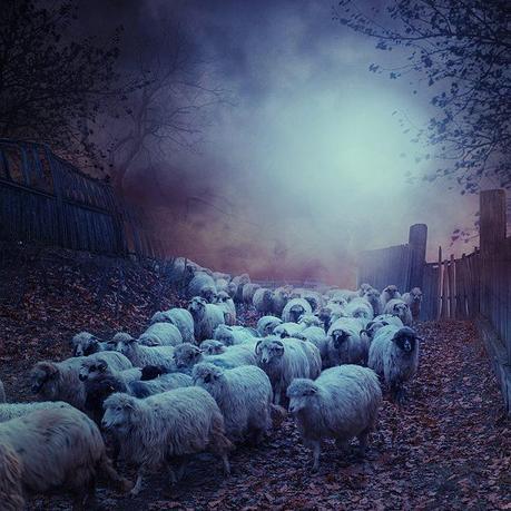 Caras Ionut – Backyard Ghost  / Creative Photo Manipulations