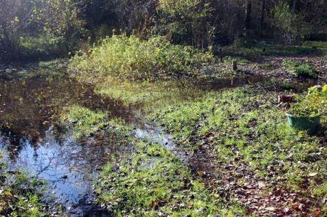 3 romi 20 nov 2013 009.jpg