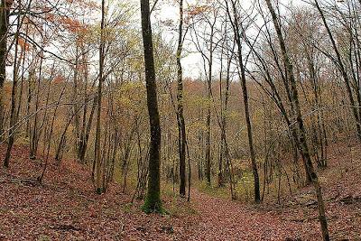 Fin d'automne au vallon Sainte-Anne