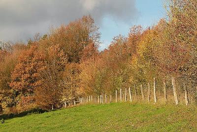 Fin d'automne au vallon Sainte-Anne