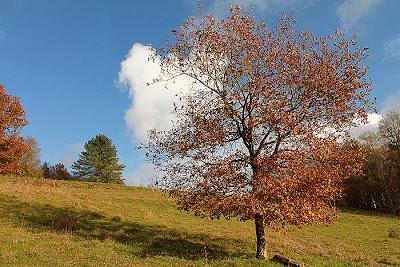 Fin d'automne au vallon Sainte-Anne
