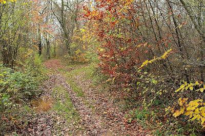 Fin d'automne au vallon Sainte-Anne