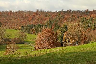 Fin d'automne au vallon Sainte-Anne