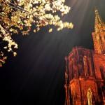Cathedrale de Strasbourg de nuit