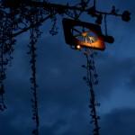 Strasbourg, Bas-Rhin, France