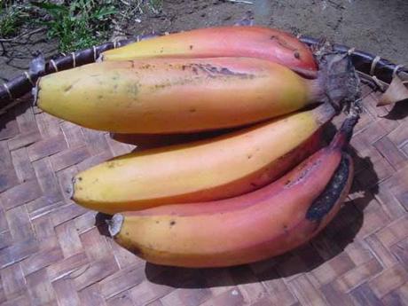 Pot de Bananes