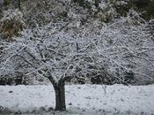 Première neige Ampus