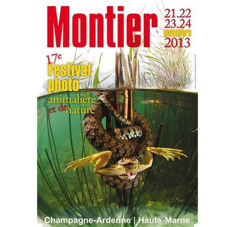 Festival Photo animalière de Montier-en-Der