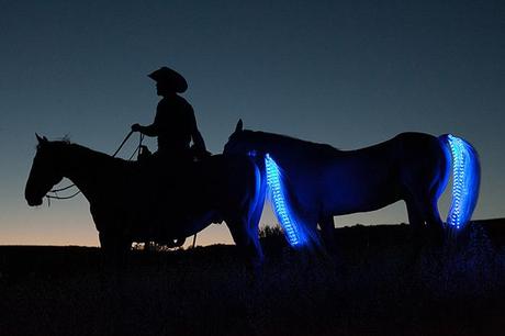 Tail Lights, des queues à LED pour ton cheval