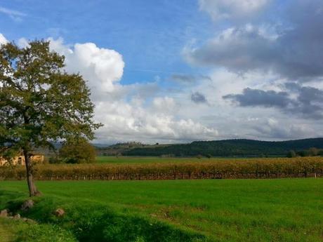 Trail World Tour, Via Francigena, étape 39 en images...