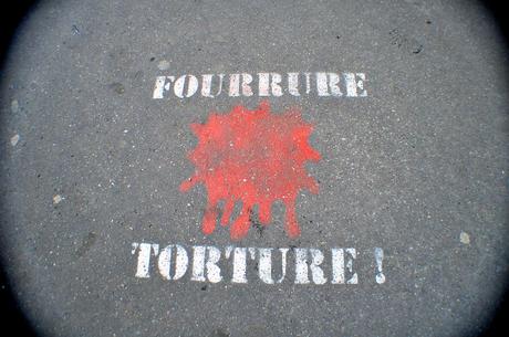 Fourrure Torture !