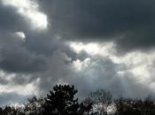 Ciel, lichen, champignon autres voluptés sexeyforgeoises