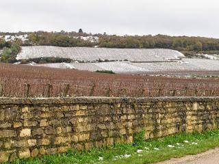Back to / from Burgundy
