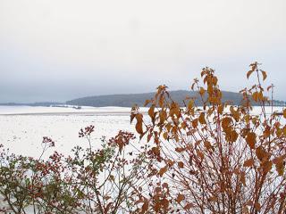 Back to / from Burgundy