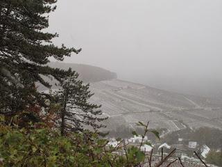 Back to / from Burgundy