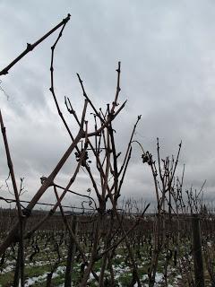 Back to / from Burgundy