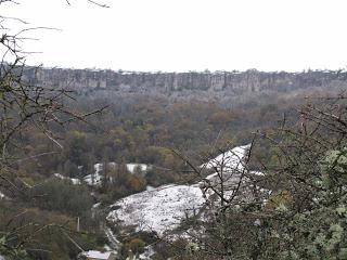 Back to / from Burgundy