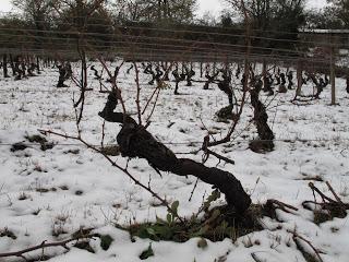 Back to / from Burgundy