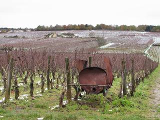 Back to / from Burgundy