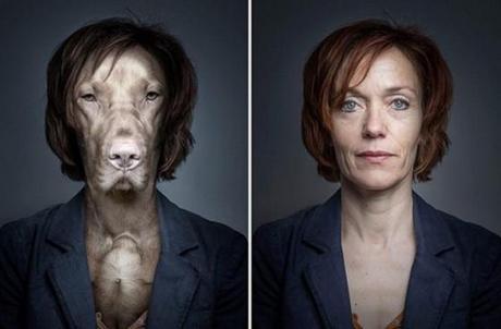 chiens-maitre-ressemblance-6