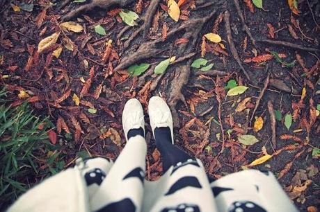 CHARMING WALK AT L'ILE DE VERSAILLES, NANTES CHARMING WALK AT L'ILE DE VERSAILLES, NANTES