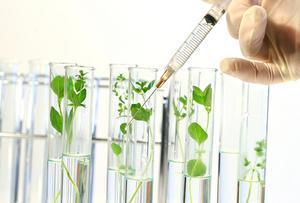 Cosméthique News, des vertes et des bien mûres #8