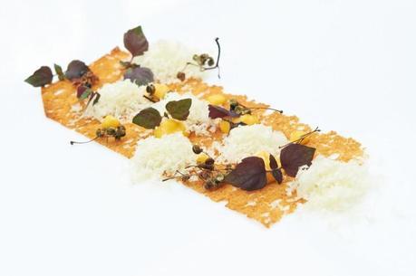 RECETTES: Au bon goût de Gruyère AOP ! RECETTES: Au bon goût de Gruyère AOP !