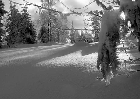 Le Pilat enneigée - 25 novembre 2013