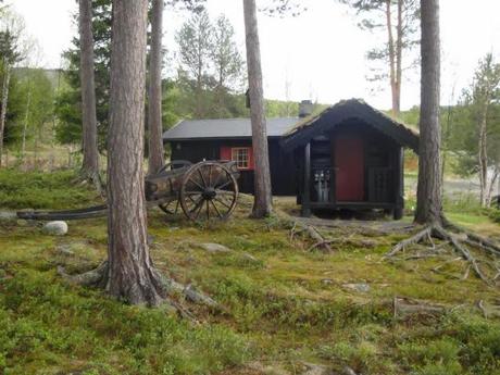 Norvège Part I : découvrez la région de Dombas