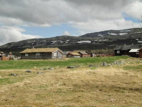 Norvège Part I : découvrez la région de Dombas