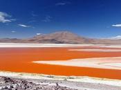 laguna Colorada Bolivie