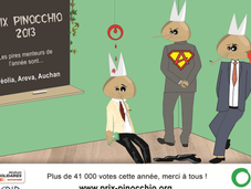 Prix Pinocchio Winner Auchan