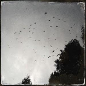 Les phrases sûres d'elles