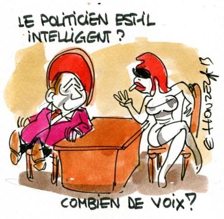 imgscan contrepoints 2013-2413 intelligence des élus