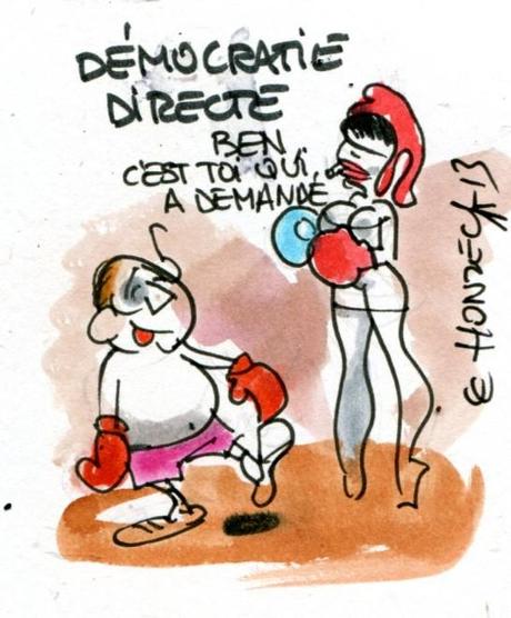 imgscan contrepoints 2013-2412 démocratie directe