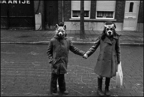 La photographie du jour