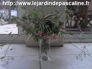 Bouquet de fleur de fin novembre