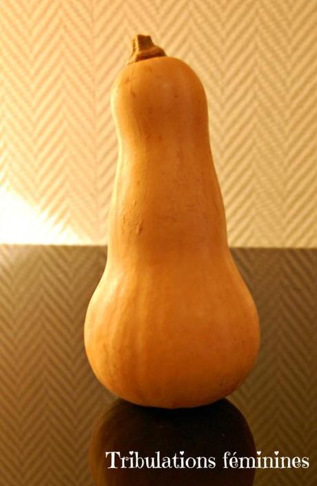 La fameuse courge butternut 