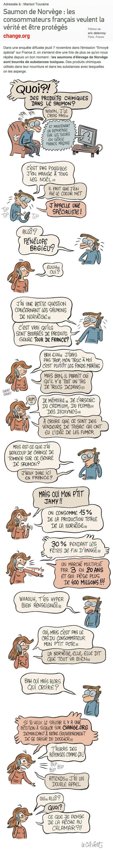 source : http://www.lecilvert.com/blog/2013/11/des-fonds-marins-au-saumon/