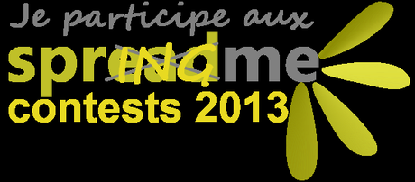 Concours SpringMe je propose: une pochette pour Ipad