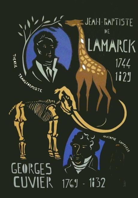lamarck et cuvier