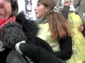 Bonnes, Nonnes, Pigeonnes Défense