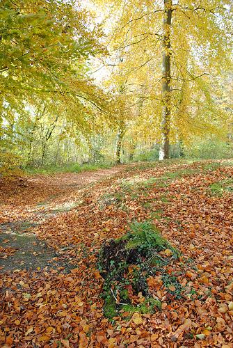 {Bonnes adresses} Escapade relaxante dans le vexin