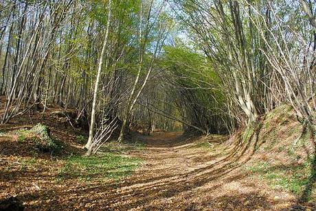 {Bonnes adresses} Escapade relaxante dans le vexin