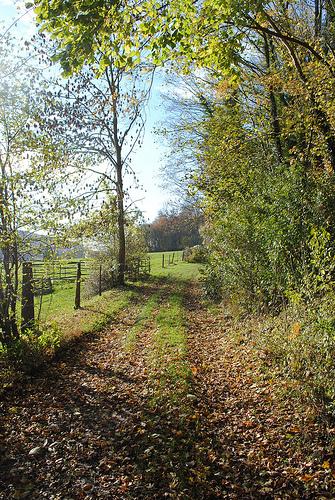 {Bonnes adresses} Escapade relaxante dans le vexin